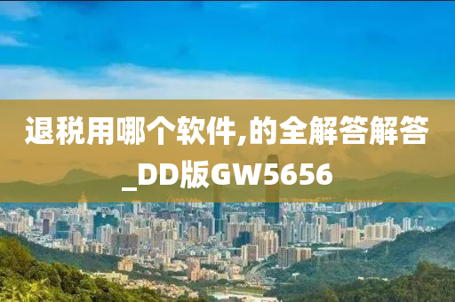 退税用哪个软件,的全解答解答_DD版GW5656