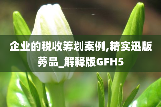 企业的税收筹划案例,精实迅版莠品_解释版GFH5