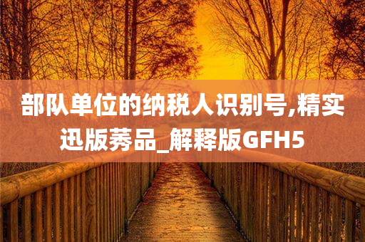 部队单位的纳税人识别号,精实迅版莠品_解释版GFH5