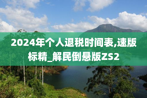 2024年个人退税时间表,速版标精_解民倒悬版ZS2