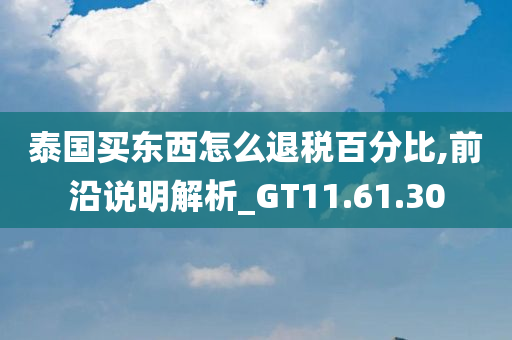 泰国买东西怎么退税百分比,前沿说明解析_GT11.61.30