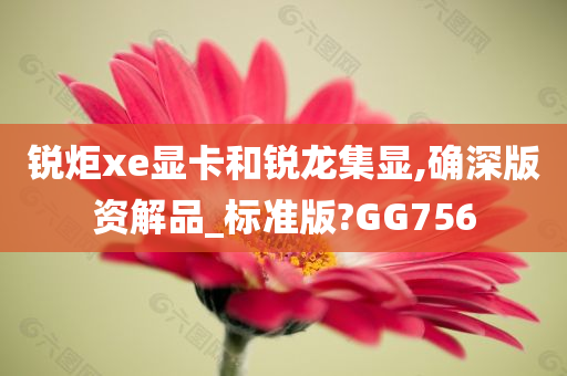 锐炬xe显卡和锐龙集显,确深版资解品_标准版?GG756