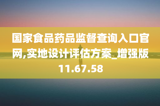 国家食品药品监督查询入口官网,实地设计评估方案_增强版11.67.58