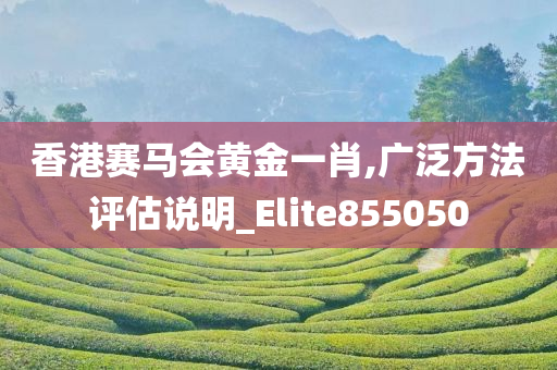 香港赛马会黄金一肖,广泛方法评估说明_Elite855050