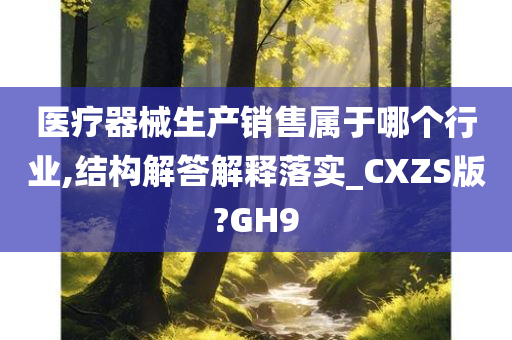 医疗器械生产销售属于哪个行业,结构解答解释落实_CXZS版?GH9