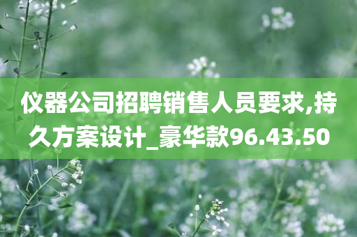 仪器公司招聘销售人员要求,持久方案设计_豪华款96.43.50