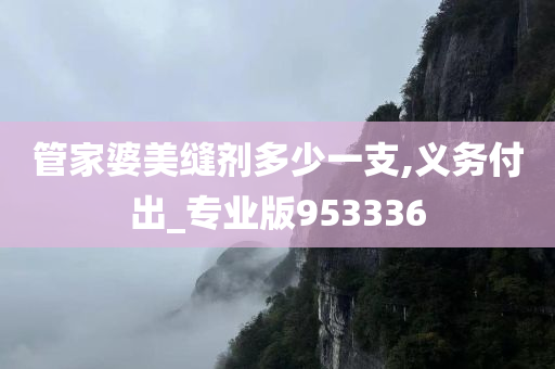 管家婆美缝剂多少一支,义务付出_专业版953336