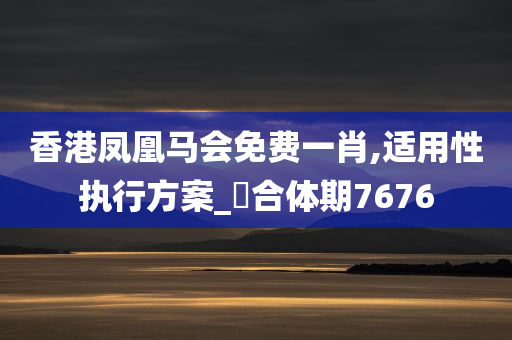 香港凤凰马会免费一肖,适用性执行方案_‌合体期7676