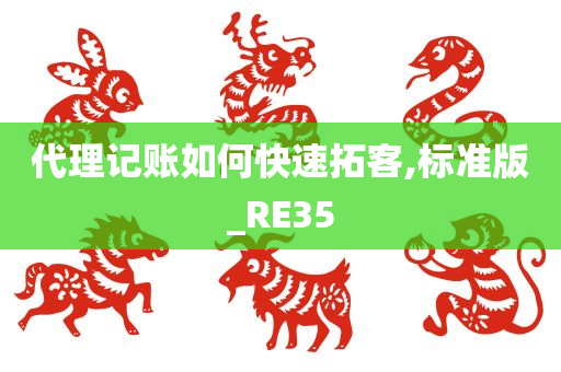 代理记账如何快速拓客,标准版_RE35