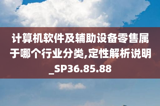 计算机软件及辅助设备零售属于哪个行业分类,定性解析说明_SP36.85.88