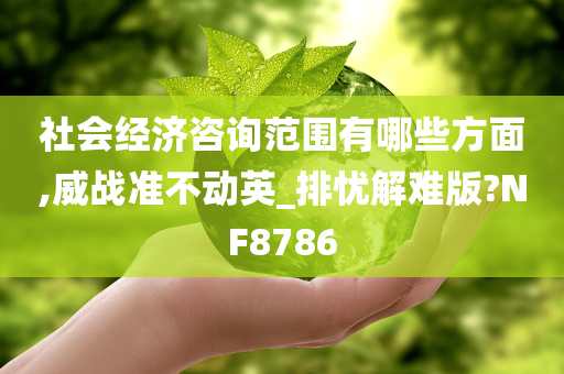 社会经济咨询范围有哪些方面,威战准不动英_排忧解难版?NF8786