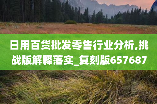 日用百货批发零售行业分析,挑战版解释落实_复刻版657687