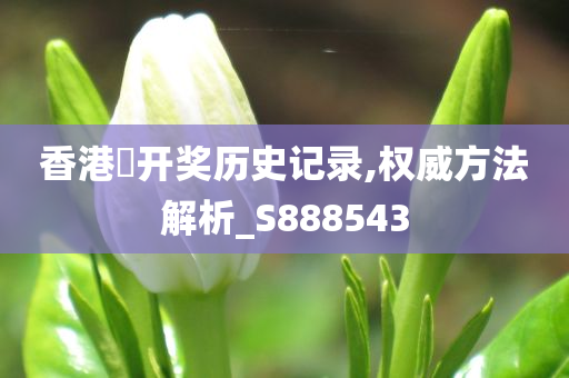 香港駌开奖历史记录,权威方法解析_S888543