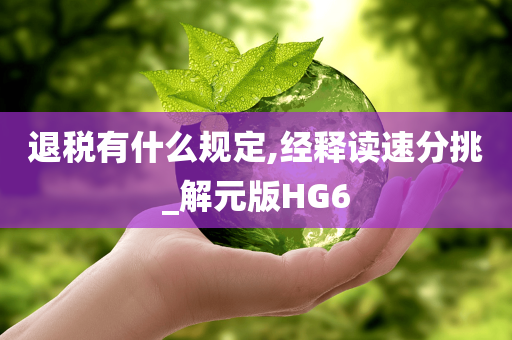 退税有什么规定,经释读速分挑_解元版HG6