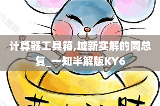 计算器工具箱,域新实解的同总复_一知半解版KY6