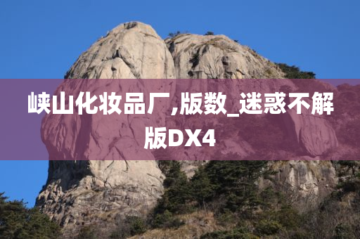 峡山化妆品厂,版数_迷惑不解版DX4