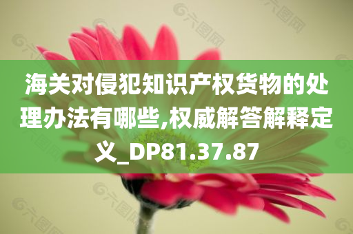 海关对侵犯知识产权货物的处理办法有哪些,权威解答解释定义_DP81.37.87