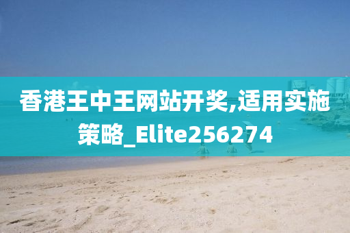 香港王中王网站开奖,适用实施策略_Elite256274