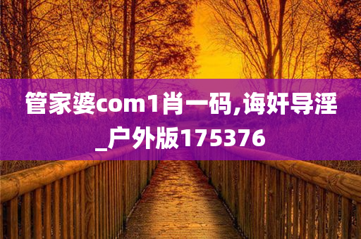 管家婆com1肖一码,诲奸导淫_户外版175376