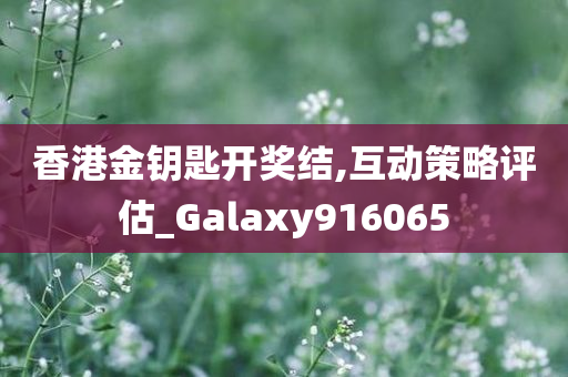 香港金钥匙开奖结,互动策略评估_Galaxy916065