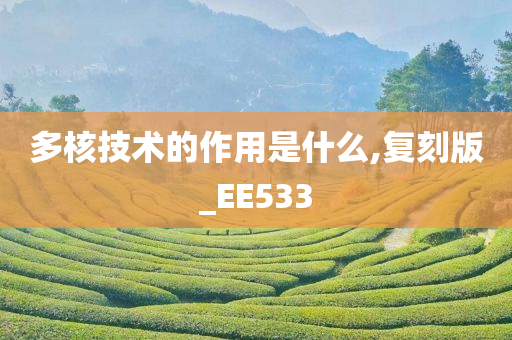 多核技术的作用是什么,复刻版_EE533