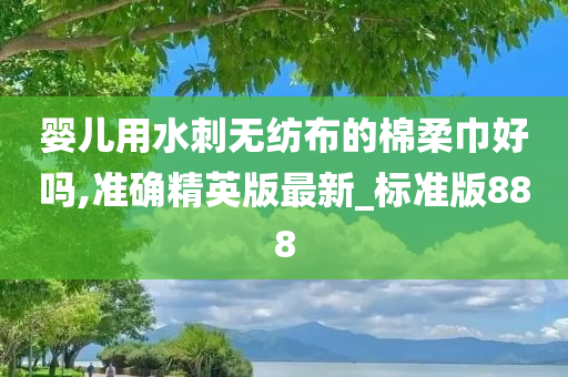 婴儿用水刺无纺布的棉柔巾好吗,准确精英版最新_标准版888