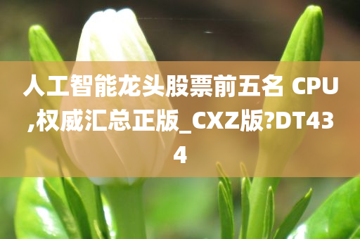 人工智能龙头股票前五名 CPU,权威汇总正版_CXZ版?DT434