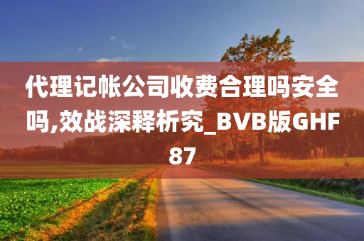 代理记帐公司收费合理吗安全吗,效战深释析究_BVB版GHF87