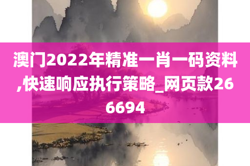 澳门2022年精准一肖一码资料,快速响应执行策略_网页款266694