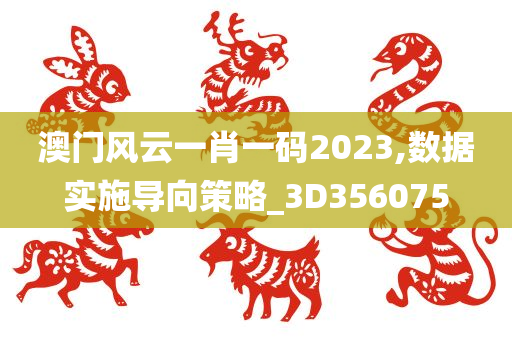 澳门风云一肖一码2023,数据实施导向策略_3D356075