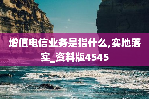 增值电信业务是指什么,实地落实_资料版4545