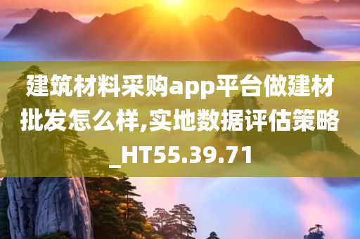 建筑材料采购app平台做建材批发怎么样,实地数据评估策略_HT55.39.71