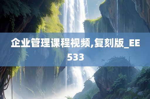 企业管理课程视频,复刻版_EE533