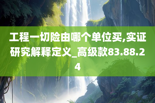 工程一切险由哪个单位买,实证研究解释定义_高级款83.88.24