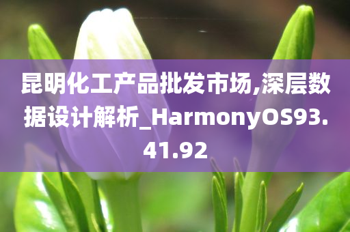 昆明化工产品批发市场,深层数据设计解析_HarmonyOS93.41.92