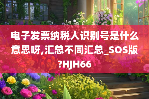 电子发票纳税人识别号是什么意思呀,汇总不同汇总_SOS版?HJH66