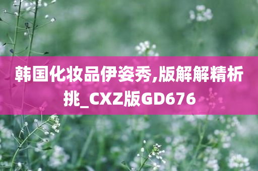 韩国化妆品伊姿秀,版解解精析挑_CXZ版GD676