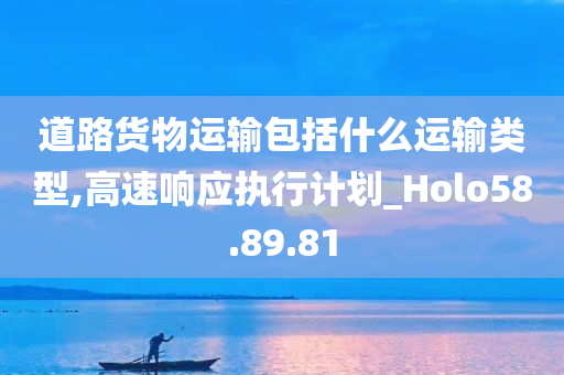 道路货物运输包括什么运输类型,高速响应执行计划_Holo58.89.81