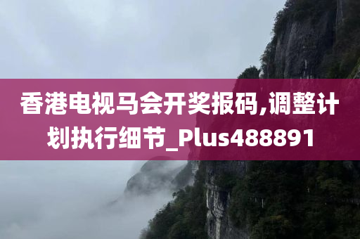 香港电视马会开奖报码,调整计划执行细节_Plus488891