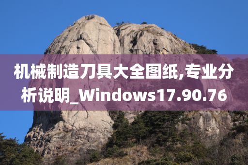 机械制造刀具大全图纸,专业分析说明_Windows17.90.76