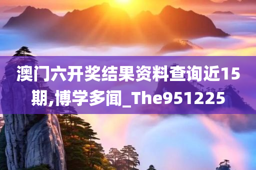 澳门六开奖结果资料查询近15期,博学多闻_The951225