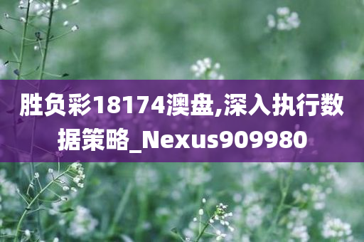 胜负彩18174澳盘,深入执行数据策略_Nexus909980