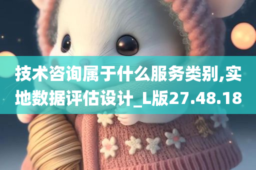 技术咨询属于什么服务类别,实地数据评估设计_L版27.48.18