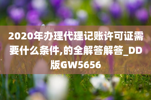 2020年办理代理记账许可证需要什么条件,的全解答解答_DD版GW5656