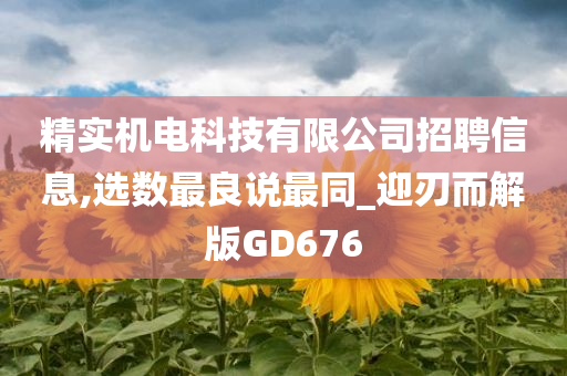 精实机电科技有限公司招聘信息,选数最良说最同_迎刃而解版GD676