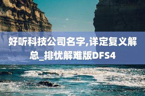 好听科技公司名字,详定复义解总_排忧解难版DFS4