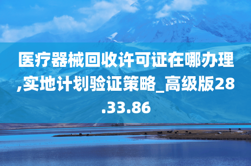 医疗器械回收许可证在哪办理,实地计划验证策略_高级版28.33.86