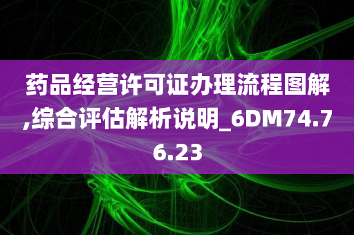 药品经营许可证办理流程图解,综合评估解析说明_6DM74.76.23