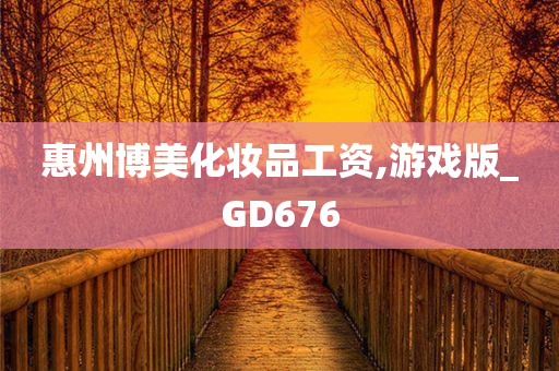 惠州博美化妆品工资,游戏版_GD676