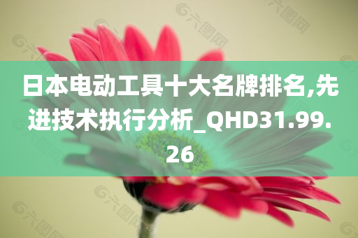 日本电动工具十大名牌排名,先进技术执行分析_QHD31.99.26